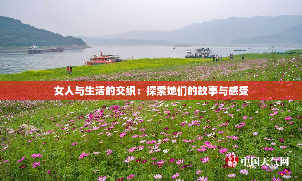 女人与生活的交织：探索她们的故事与感受