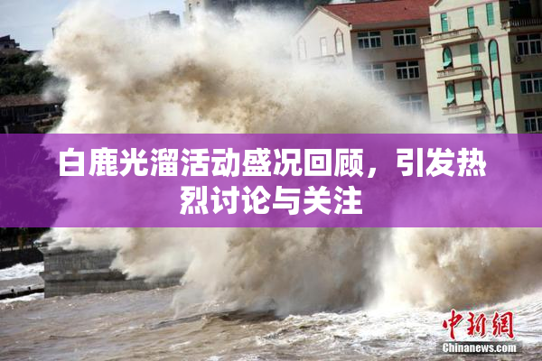 白鹿光溜活动盛况回顾，引发热烈讨论与关注
