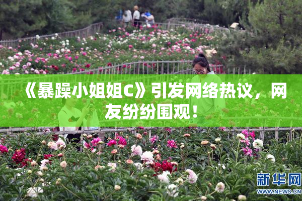 《暴躁小姐姐C》引发网络热议，网友纷纷围观！