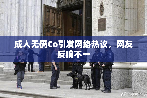成人无码Co引发网络热议，网友反响不一