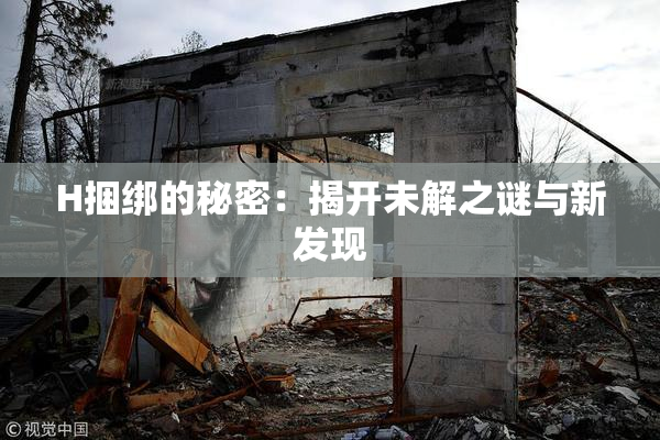 H捆绑的秘密：揭开未解之谜与新发现