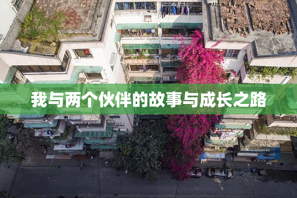 我与两个伙伴的故事与成长之路