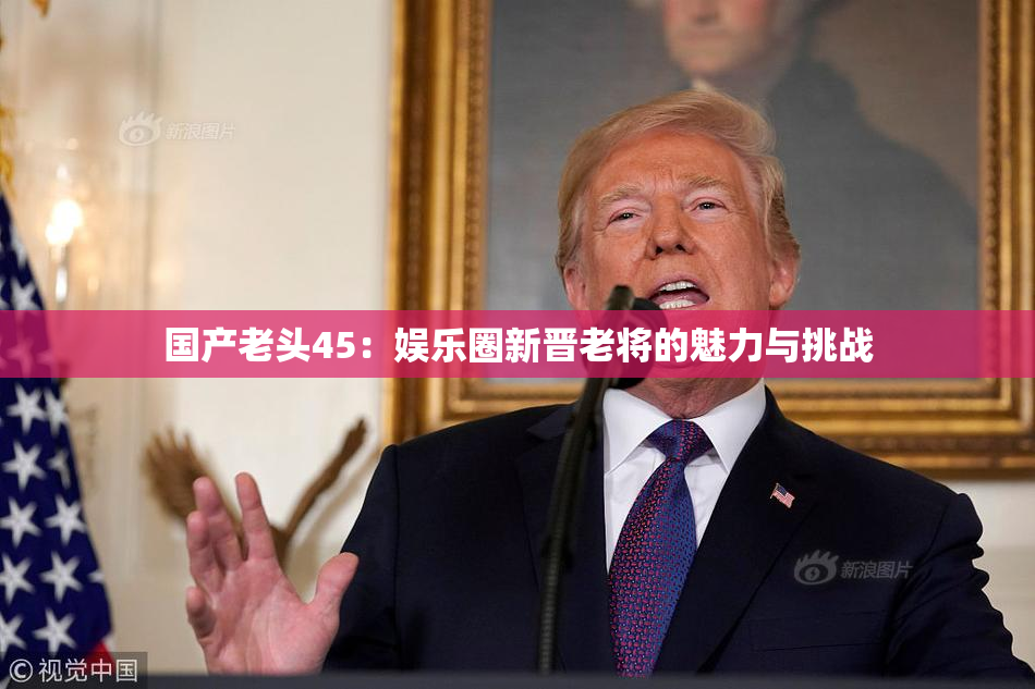 国产老头45：娱乐圈新晋老将的魅力与挑战