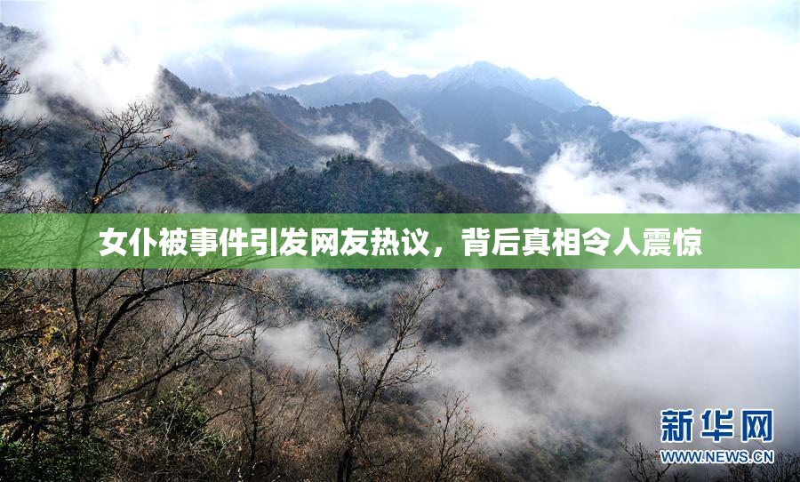 女仆被事件引发网友热议，背后真相令人震惊