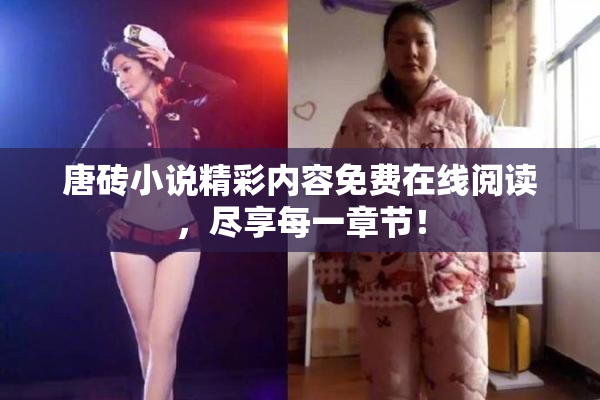 唐砖小说精彩内容免费在线阅读，尽享每一章节！