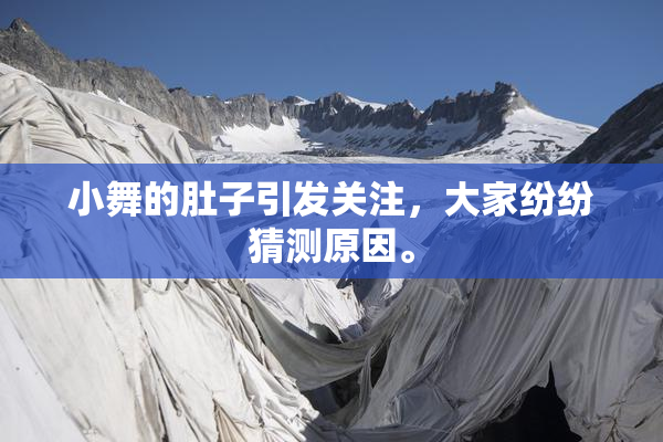 小舞的肚子引发关注，大家纷纷猜测原因。