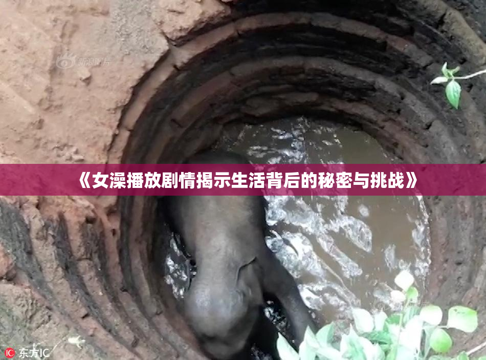 《女澡播放剧情揭示生活背后的秘密与挑战》