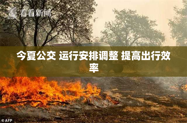 今夏公交 运行安排调整 提高出行效率