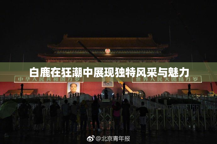 白鹿在狂潮中展现独特风采与魅力