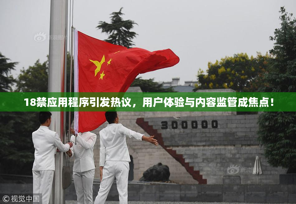 18禁应用程序引发热议，用户体验与内容监管成焦点！