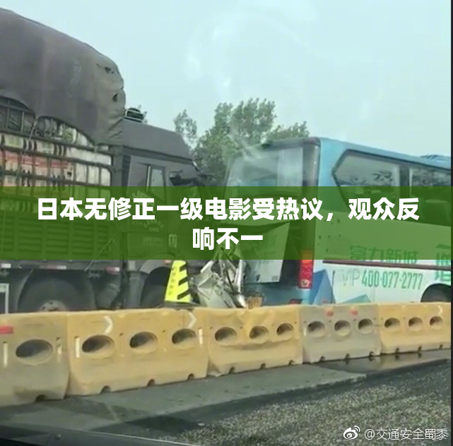 日本无修正一级电影受热议，观众反响不一