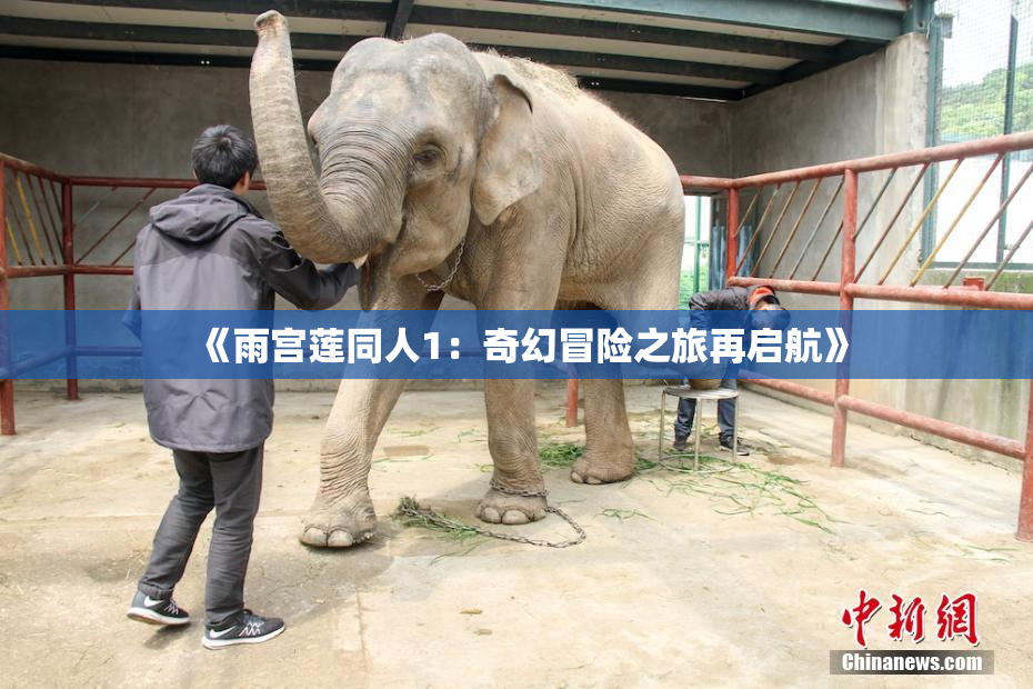 《雨宫莲同人1：奇幻冒险之旅再启航》
