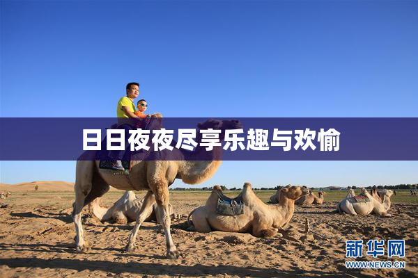 日日夜夜尽享乐趣与欢愉