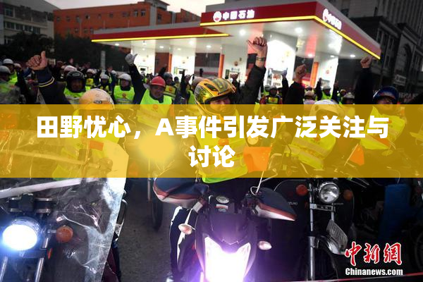田野忧心，A事件引发广泛关注与讨论