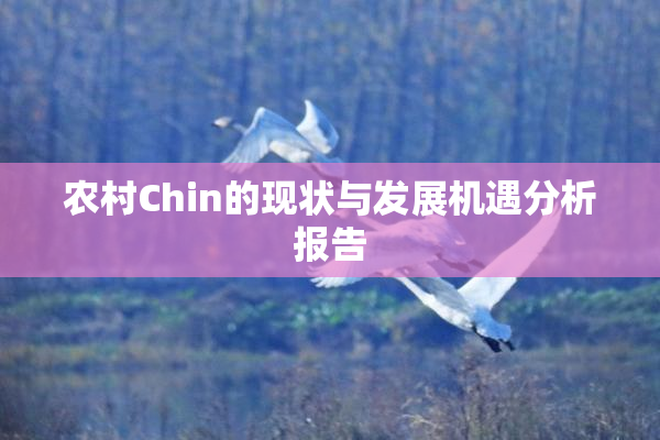 农村Chin的现状与发展机遇分析报告