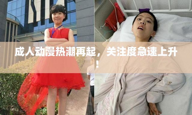 成人动漫热潮再起，关注度急速上升！