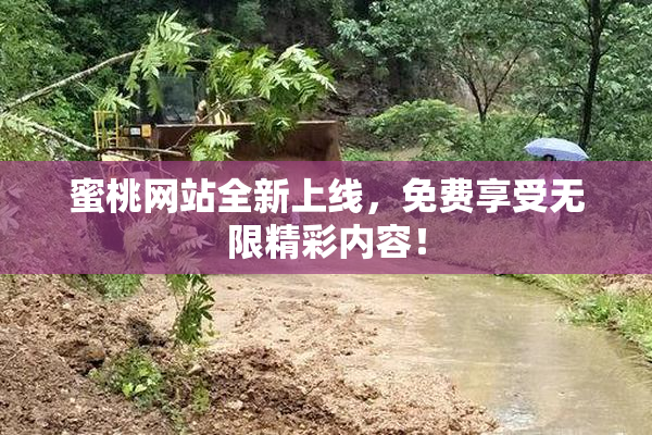 蜜桃网站全新上线，免费享受无限精彩内容！