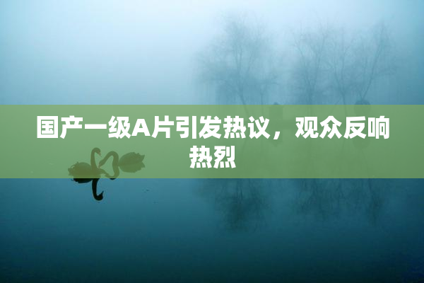 国产一级A片引发热议，观众反响热烈