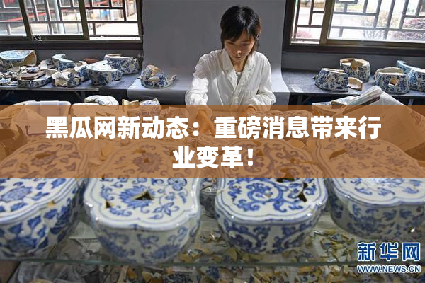 黑瓜网新动态：重磅消息带来行业变革！