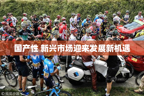 国产性 新兴市场迎来发展新机遇
