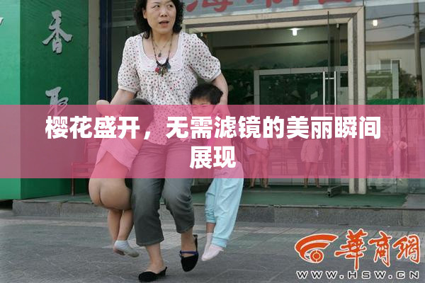 樱花盛开，无需滤镜的美丽瞬间展现