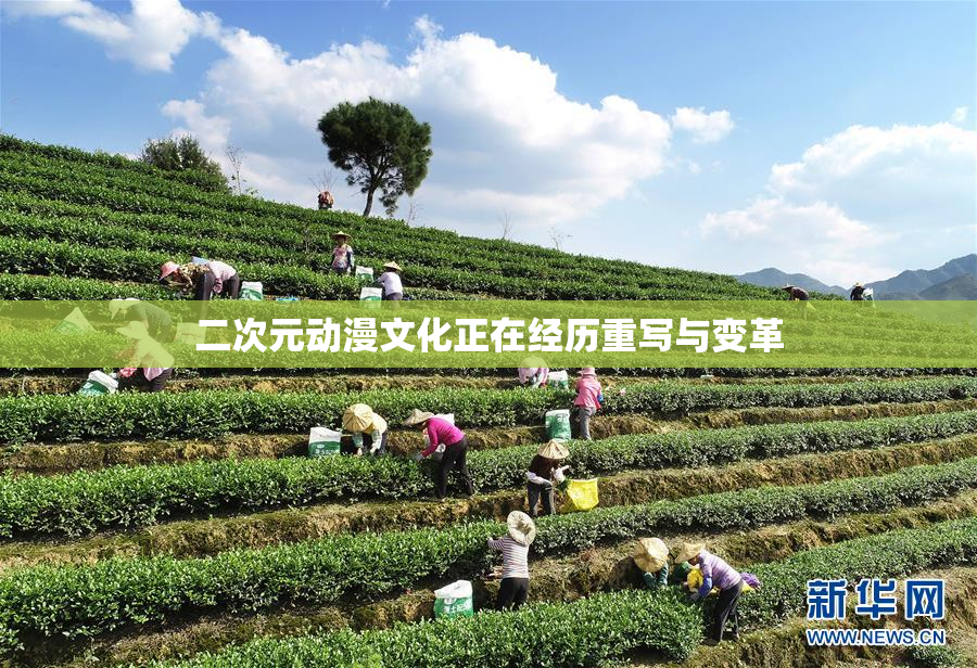 二次元动漫文化正在经历重写与变革