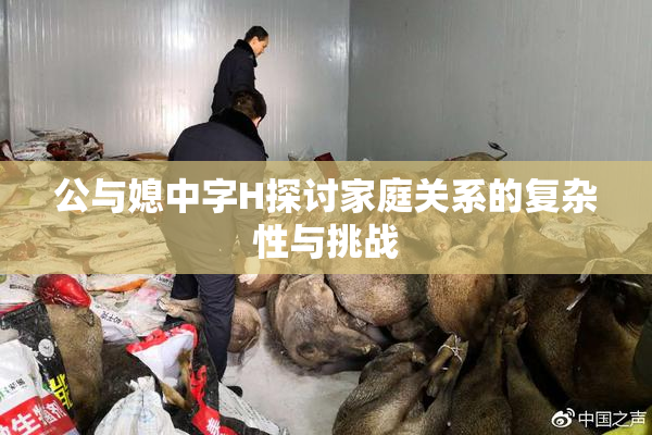 公与媳中字H探讨家庭关系的复杂性与挑战