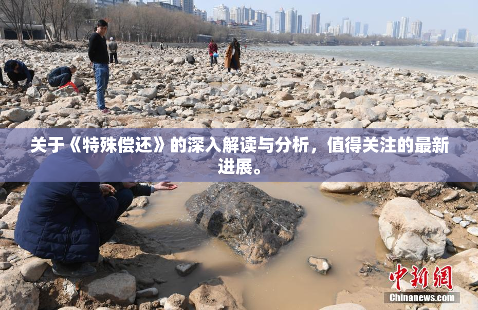 关于《特殊偿还》的深入解读与分析，值得关注的最新进展。