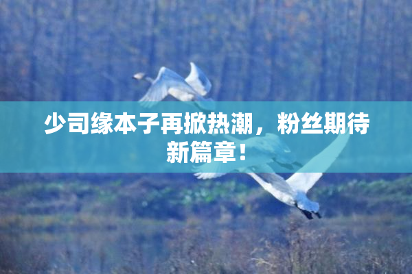 少司缘本子再掀热潮，粉丝期待新篇章！