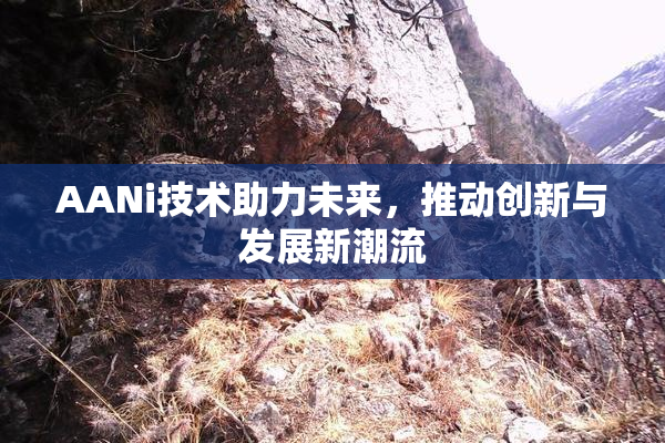 AANi技术助力未来，推动创新与发展新潮流