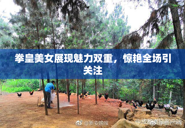 拳皇美女展现魅力双重，惊艳全场引关注