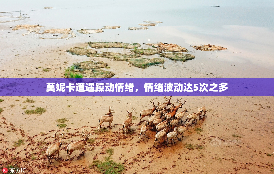 莫妮卡遭遇躁动情绪，情绪波动达5次之多