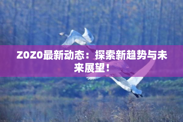 Z0Z0最新动态：探索新趋势与未来展望！