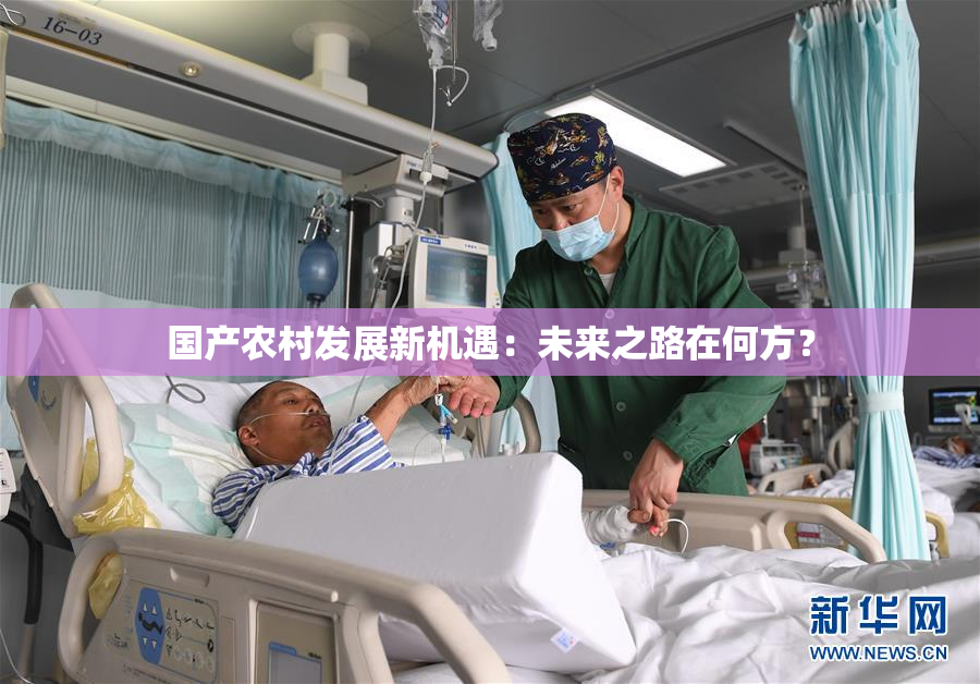 国产农村发展新机遇：未来之路在何方？