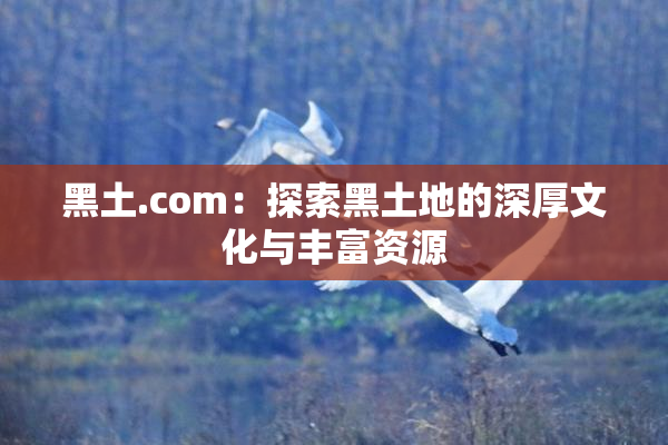 黑土.com：探索黑土地的深厚文化与丰富资源
