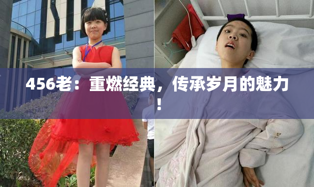 456老：重燃经典，传承岁月的魅力！