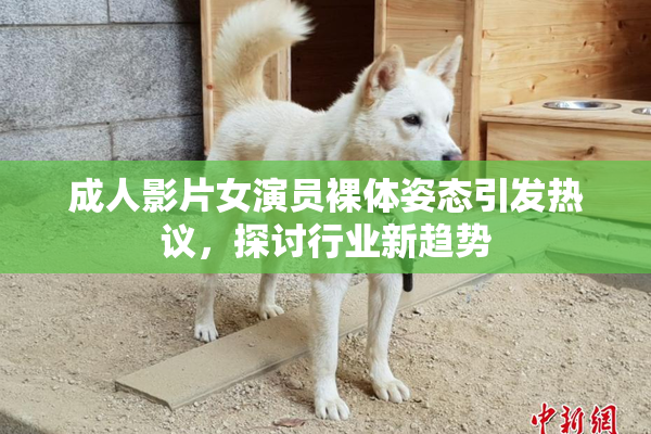 成人影片女演员裸体姿态引发热议，探讨行业新趋势
