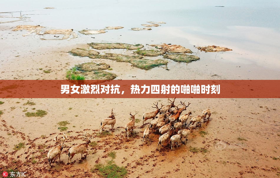 男女激烈对抗，热力四射的啪啪时刻
