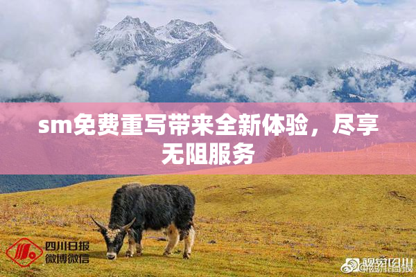 sm免费重写带来全新体验，尽享无阻服务