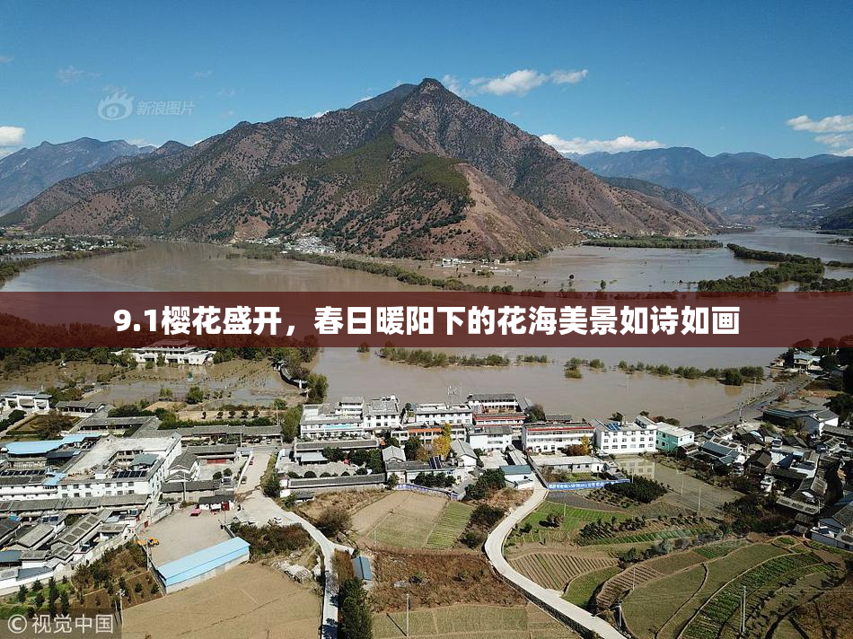 9.1樱花盛开，春日暖阳下的花海美景如诗如画
