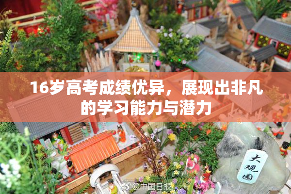 16岁高考成绩优异，展现出非凡的学习能力与潜力