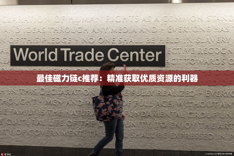 最佳磁力链c推荐：精准获取优质资源的利器