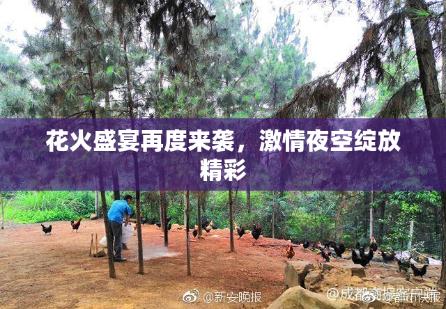 花火盛宴再度来袭，激情夜空绽放精彩