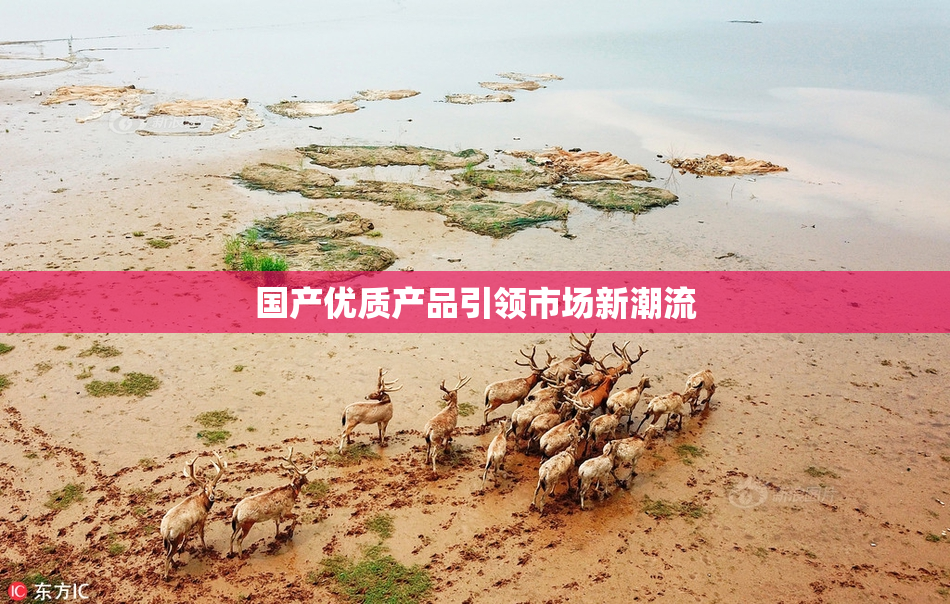 国产优质产品引领市场新潮流