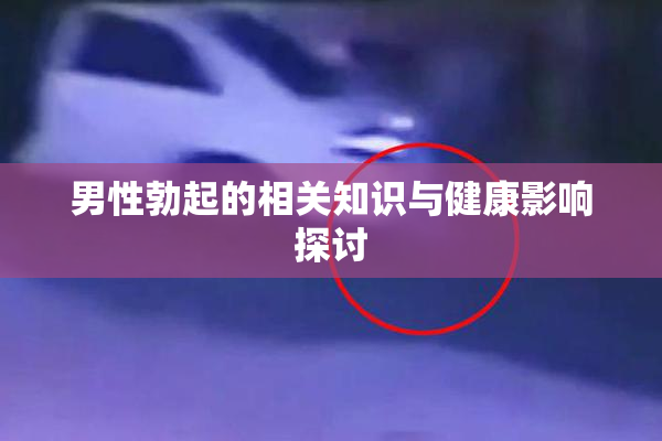 男性勃起的相关知识与健康影响探讨