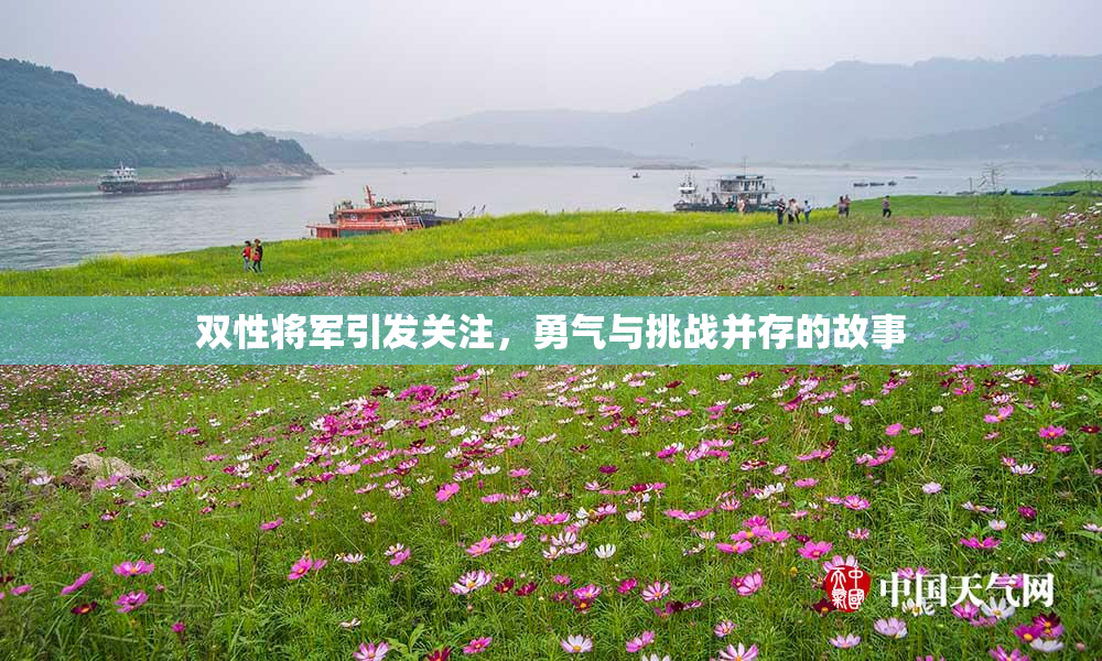 双性将军引发关注，勇气与挑战并存的故事