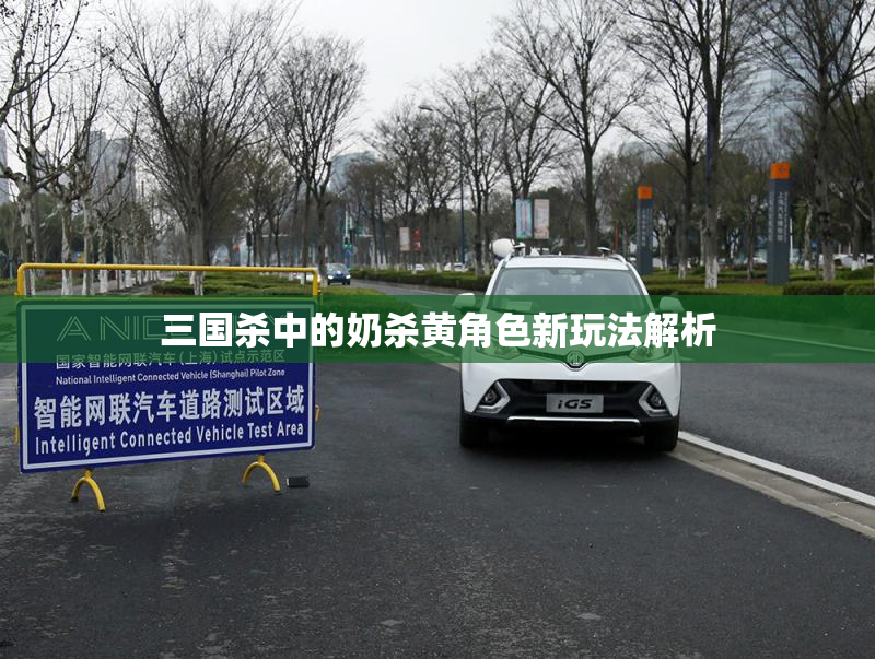 三国杀中的奶杀黄角色新玩法解析
