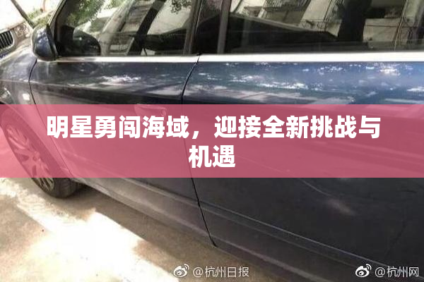明星勇闯海域，迎接全新挑战与机遇