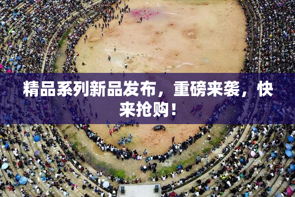 精品系列新品发布，重磅来袭，快来抢购！