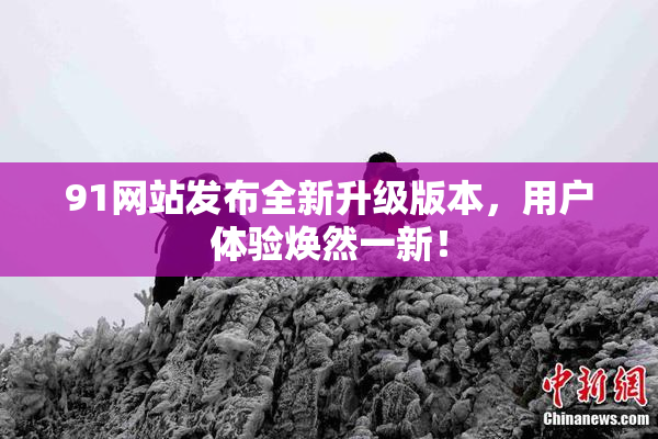 91网站发布全新升级版本，用户体验焕然一新！